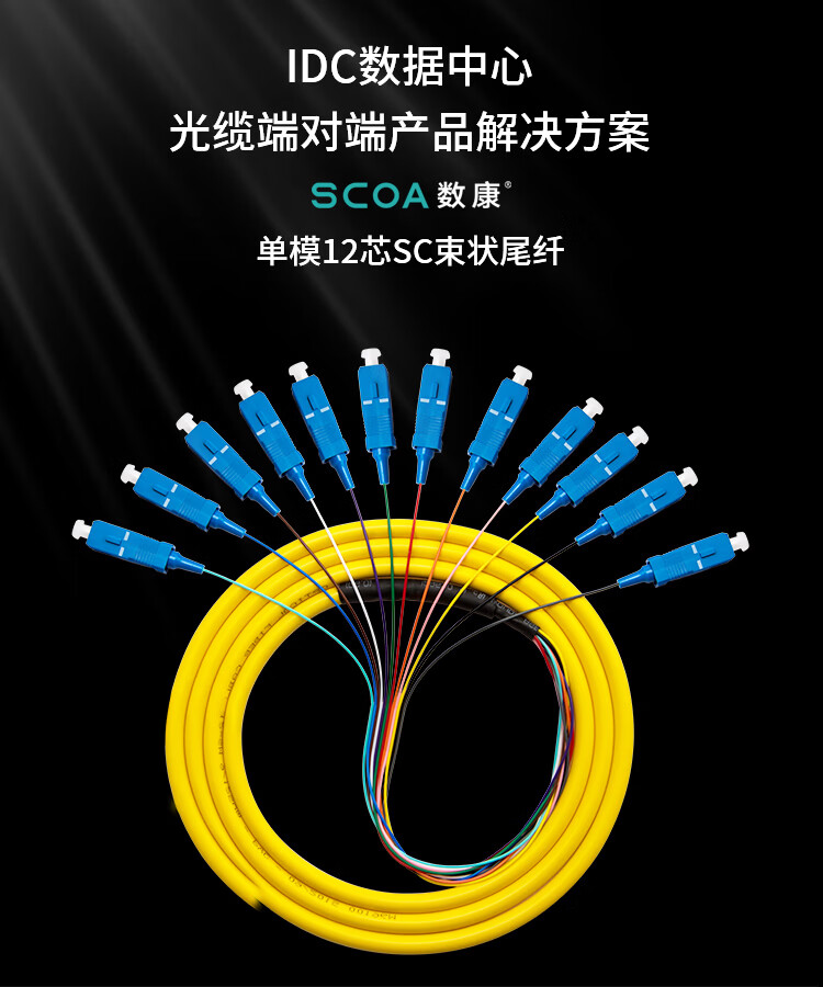 电信级单模光纤跳线 12芯SC大方头OS2束状尾纤 (https://www.scoa-cn.com/) 光纤尾纤 第1张