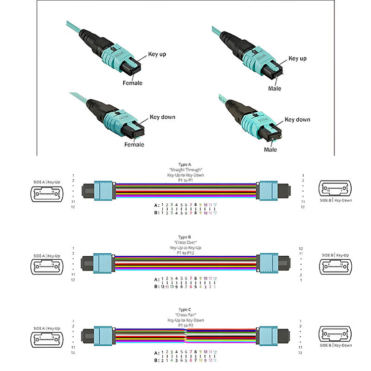 12芯MPO-MPO光纤跳线 母头B极性兼容MTP OM3多模跳纤 (https://www.scoa-cn.com/) 40G100G400GMPO线缆 第4张