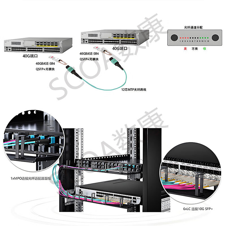 12芯MPO-MPO光纤跳线 母头B极性兼容MTP OM3多模跳纤 (https://www.scoa-cn.com/) 40G100G400GMPO线缆 第5张