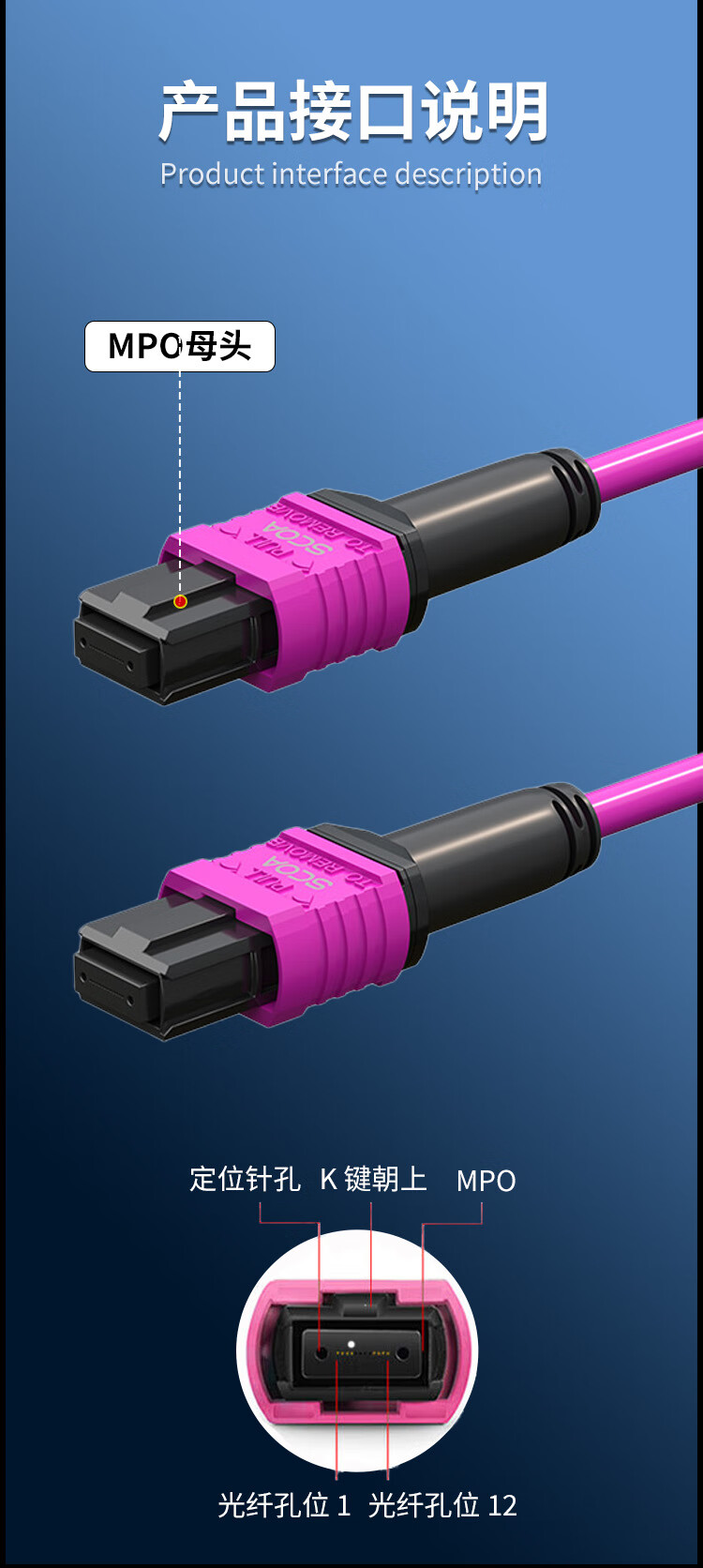8芯MPO-MPO光纤跳线 母头B极性MTP OM4万兆多模跳纤 (https://www.scoa-cn.com/) 40G100G400GMPO线缆 第4张