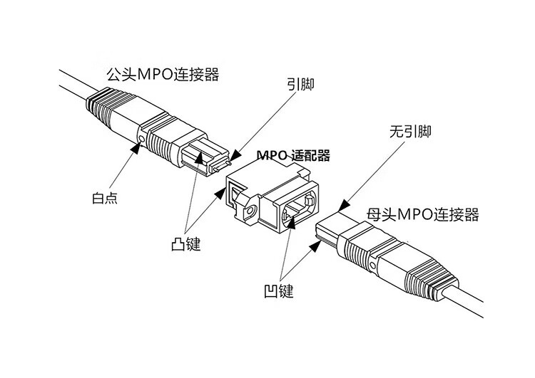 12芯MPO-MPO光纤跳线母头B极性MTP OM4万兆多模跳纤 (https://www.scoa-cn.com/) 40G100G400GMPO线缆 第9张