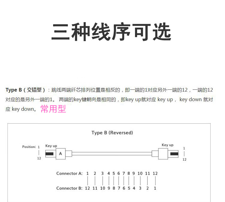 12芯MPO-MPO光纤跳线母头B极性MTP OM4万兆多模跳纤 (https://www.scoa-cn.com/) 40G100G400GMPO线缆 第10张